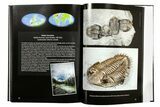 Book - The Back to the Past Museum Guide to Trilobites II - Photo 6